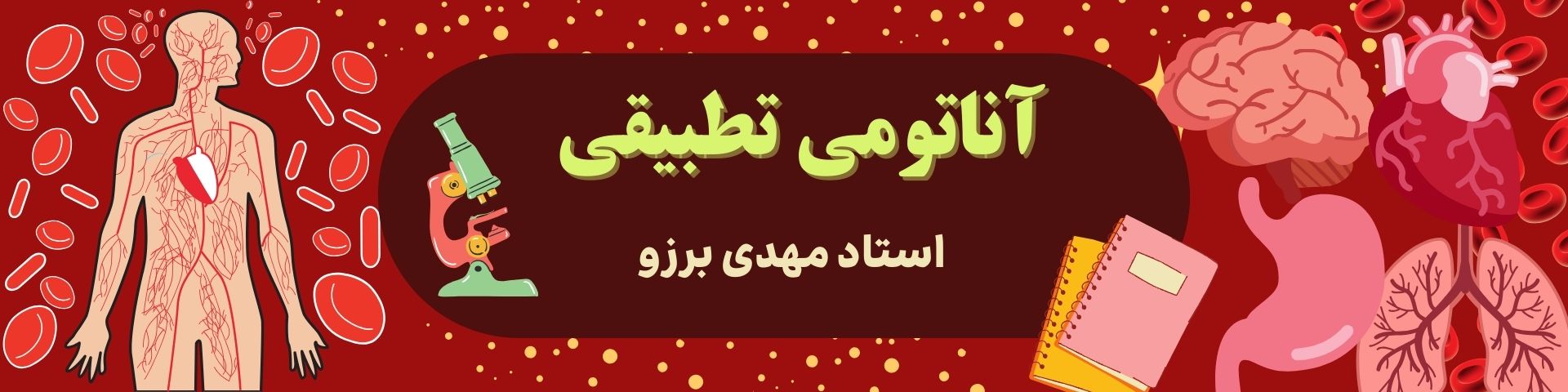 آناتومی تطبیقی